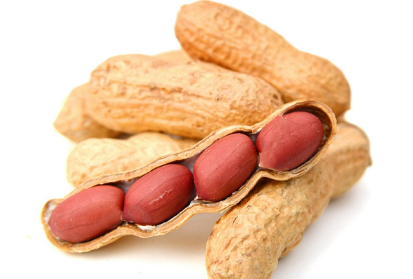 速盈娱乐坚果代工厂坚果OEM贴牌代工