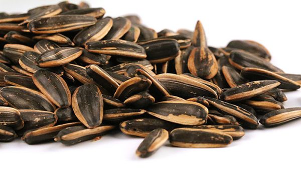 速盈娱乐坚果代工厂坚果贴牌代工