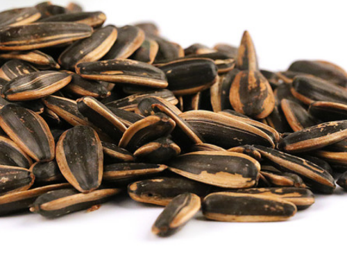 山核桃瓜子和焦糖瓜子哪个好吃-速盈娱乐坚果代工厂