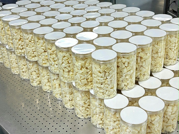 速盈娱乐椰子脆块批发OEM/ODM代加工