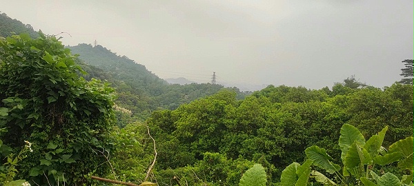 速盈娱乐坚果代工厂