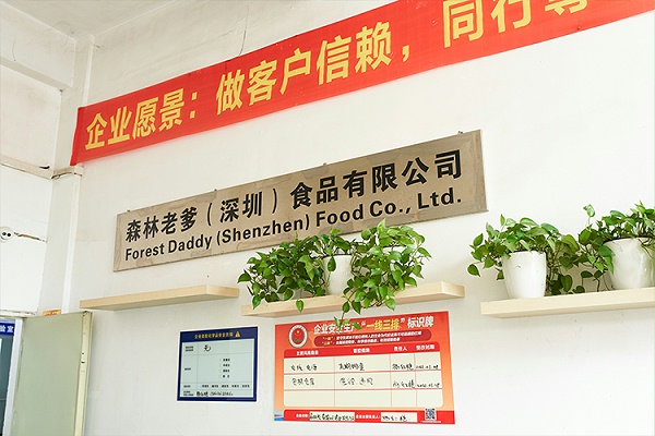 速盈娱乐（东莞）食品有限公司