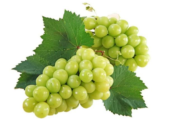 速盈娱乐干加工厂OEM贴牌代工