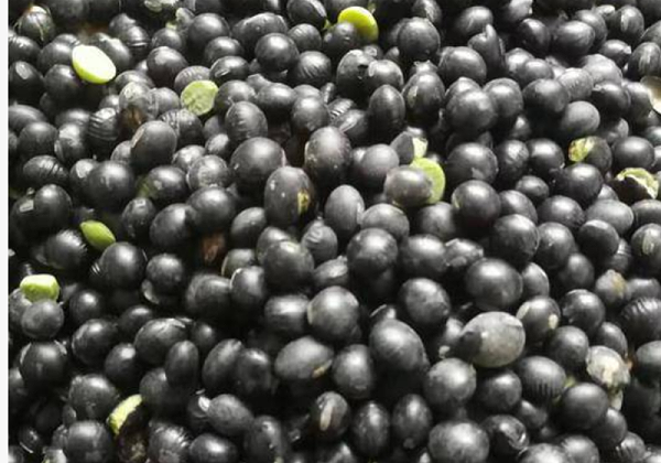 速盈娱乐干果代工厂坚果贴牌代工