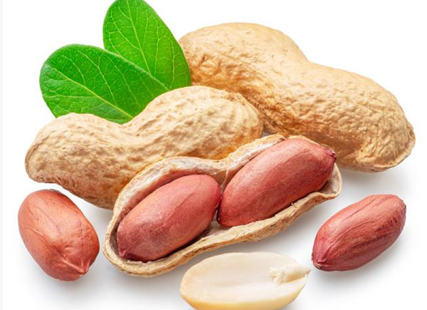 速盈娱乐坚果代工厂