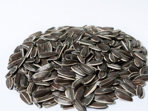 原味瓜子上火吗-速盈娱乐坚果代工厂