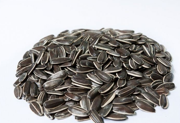 速盈娱乐坚果代工厂坚果贴牌代工