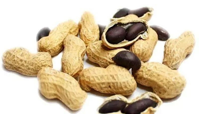 速盈娱乐坚果代工厂坚果批发坚果贴牌代加工