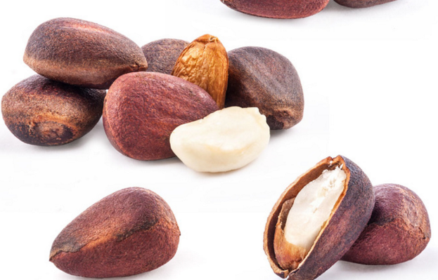 速盈娱乐坚果加工厂坚果贴牌代工