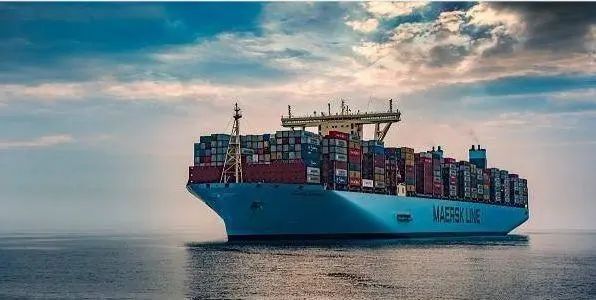 焦点娱乐坚果代工厂专业坚果加工