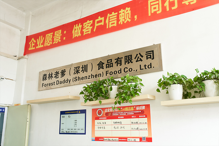 速盈娱乐（东莞）食品有限公司