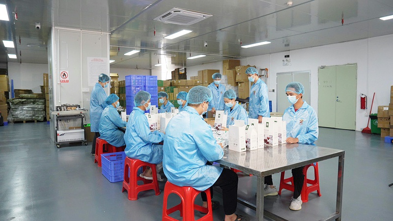 速盈娱乐坚果代工厂坚果贴牌代工