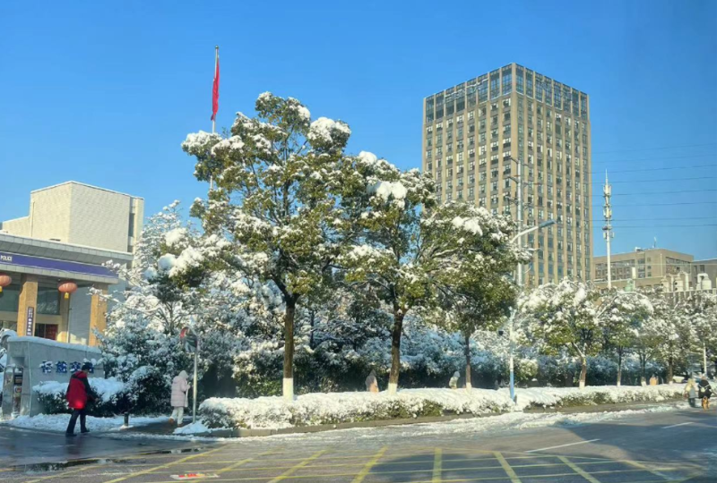 速盈娱乐坚果加工厂专业坚果加工