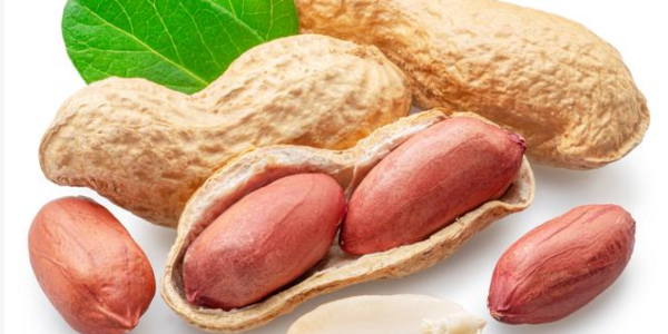 蒜香花生的功效与作用-速盈娱乐坚果代工厂